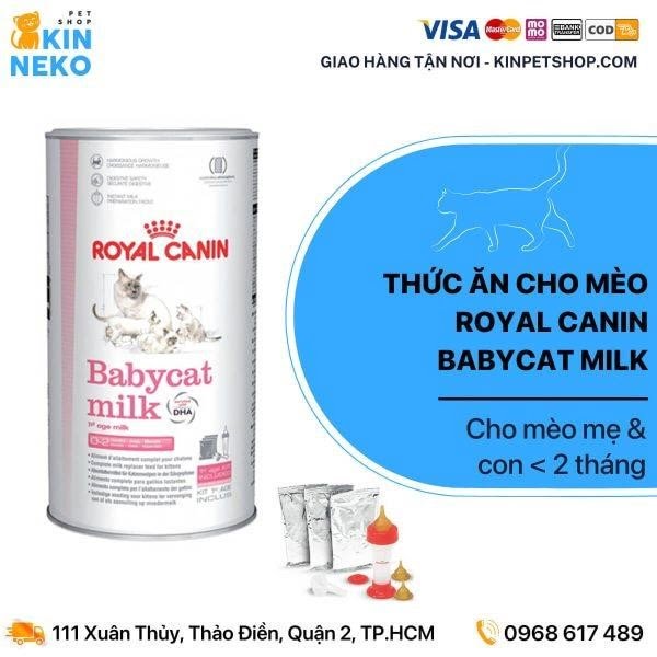 Nếu bạn vẫn chưa biết nên cho mèo con ăn gì thì Royal Canin babycat milk 300g là lựa chọn tốt nhất.