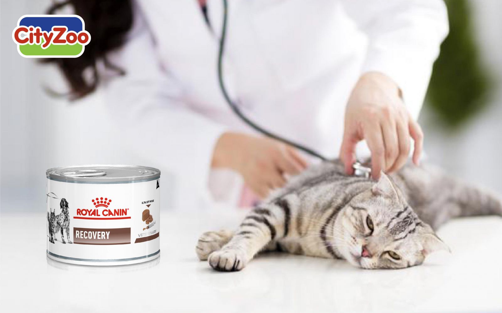  Sản phẩm ROYAL CANIN Recovery thức ăn cho chó mèo bị bệnh sốt