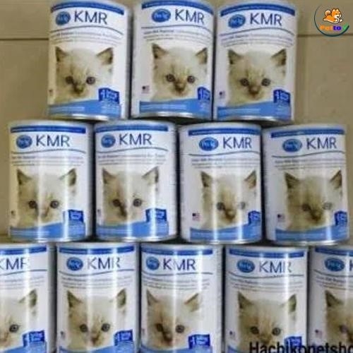 Sữa KMR cho mèo có thể sử dụng thay thế cho sữa mèo mẹ.