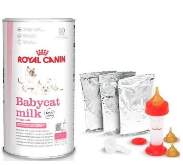 Royal Canin Babycat Milk là loại sữa dành riêng cho mèo con, được sản xuất để cung cấp dinh dưỡng cho chúng trong giai đoạn đầu đời. Sữa này được chế biến từ các thành phần tự nhiên, bao gồm các chất đạm và chất béo cần thiết để giúp mèo con phát triển khỏe mạnh và có thể hấp thụ tối đa các dưỡng chất. Với Royal Canin Babycat Milk, bạn có thể yên tâm chăm sóc cho mèo con của mình một cách tốt nhất.