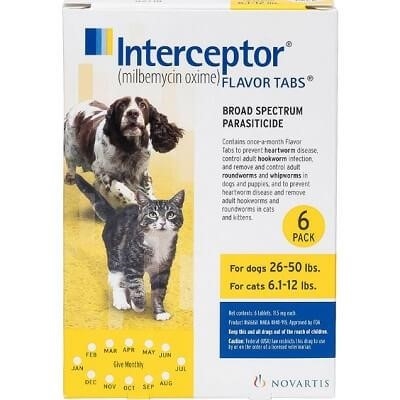  Interceptor 