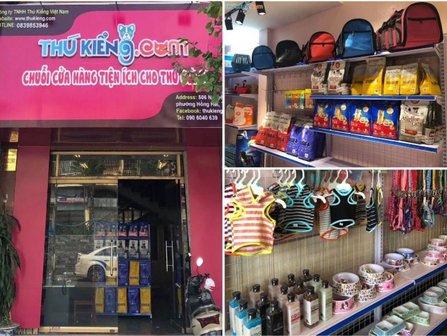 Shop Thú Kiểng.Com là một trong những cửa hàng bán mèo được nhiều người yêu thích