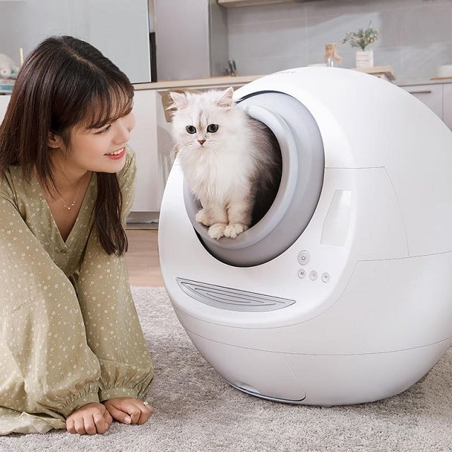 [Review] Nên dùng máy dọn vệ sinh cho mèo tự động không? Loại nào tốt?
