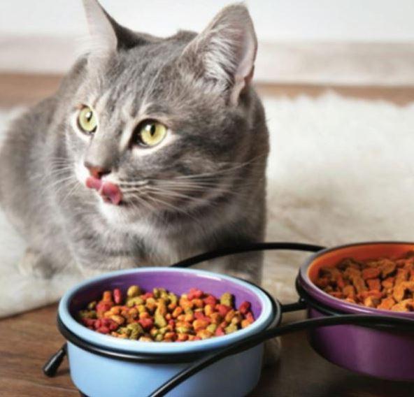 Thức ăn Me-o phù hợp cho mèo từ 8 tháng tuổi trở lên